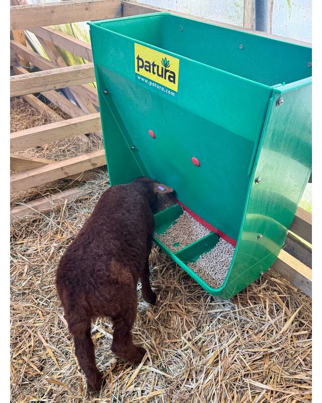 Patura Lamb Creep Feeder capacity 60 l