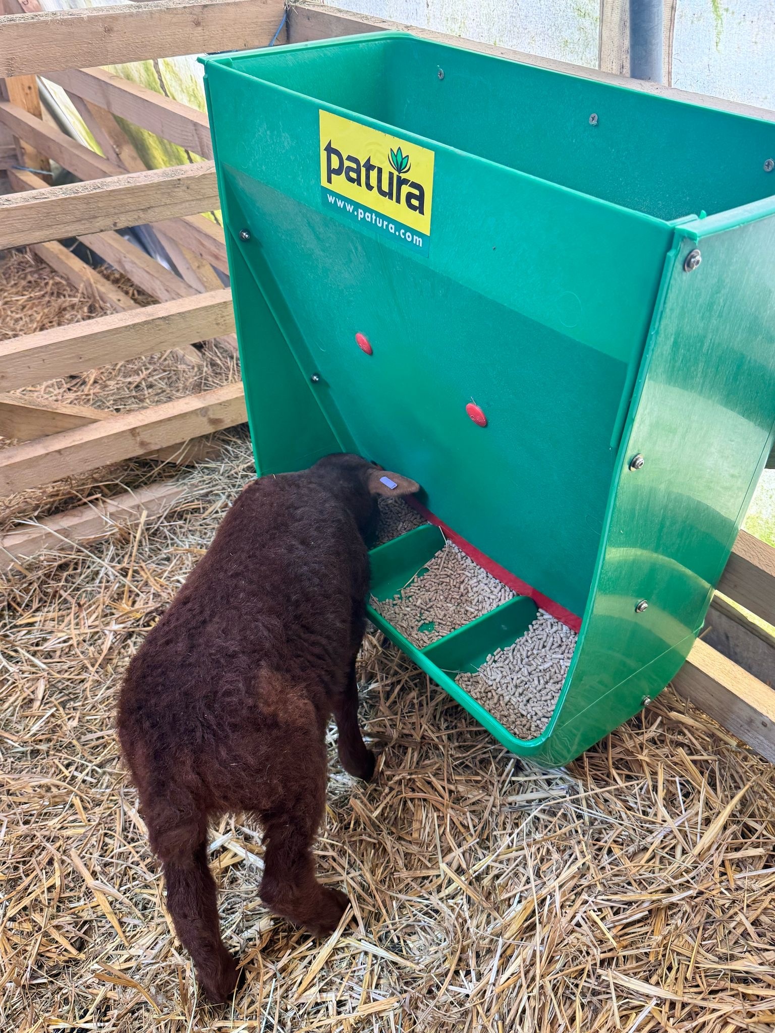 Patura Lamb Creep Feeder capacity 60 l