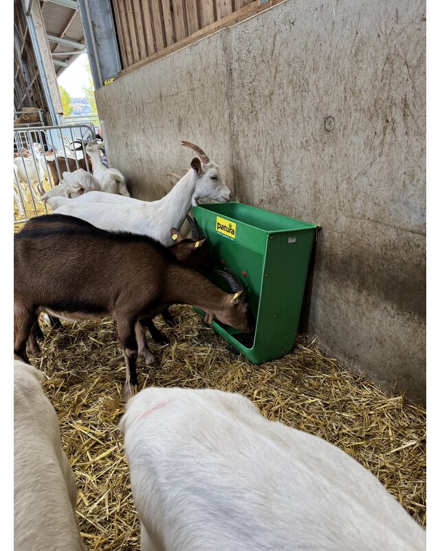 Patura Lamb Creep Feeder capacity 60 l