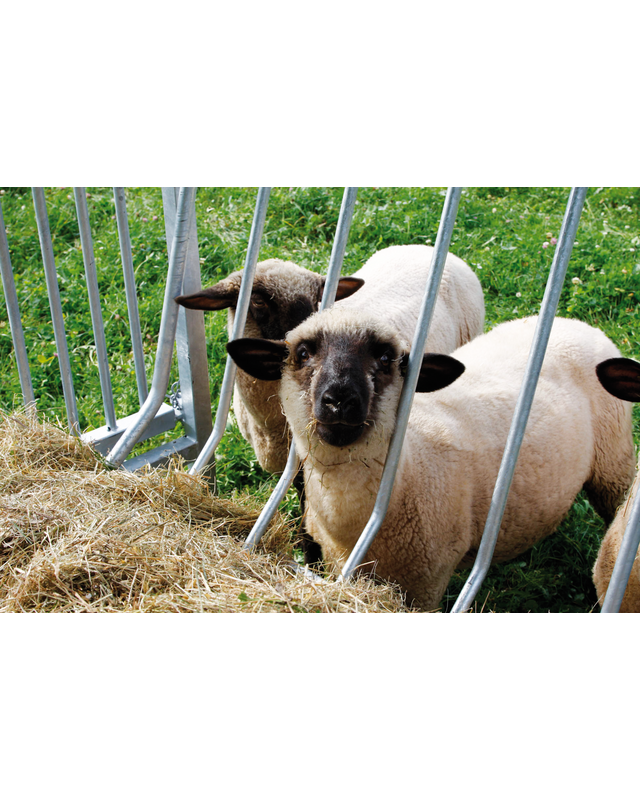 Patura vierkante ruif voor schapen met dak