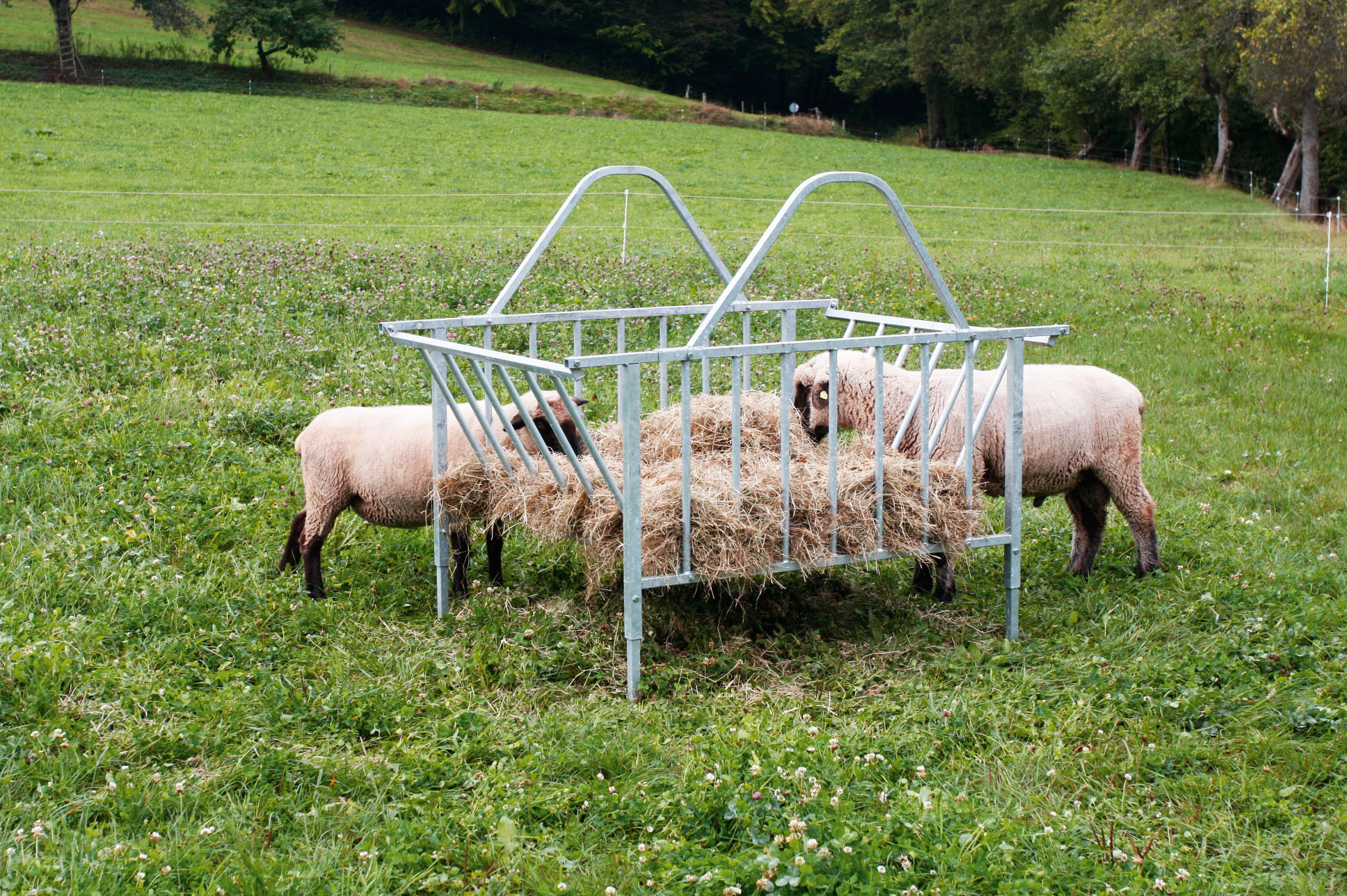 Patura Vierkante ruif standaard, 28 voerplaatse gegalvaniseerd