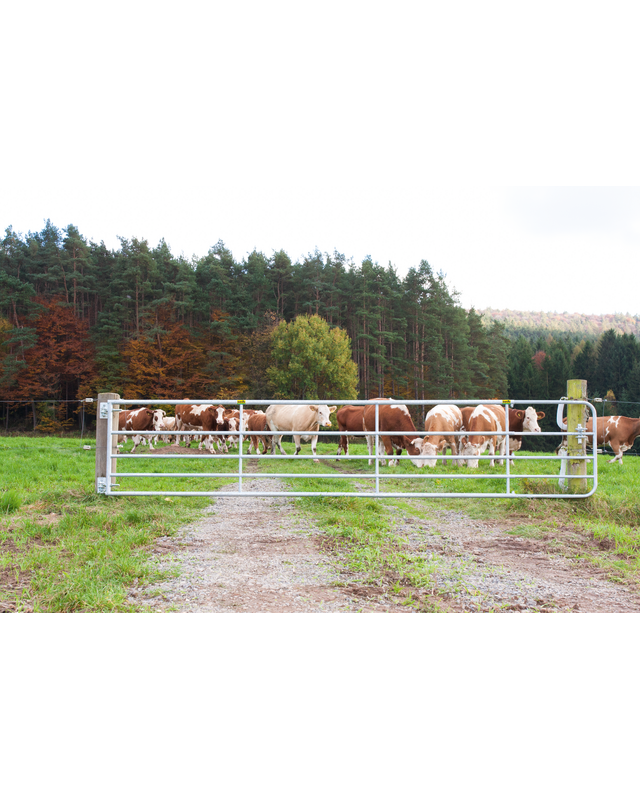 Patura Weiderasterpoort 90cm, lengte 4,00-5,0m gegalvaniseerd, incl. montageonderdelen