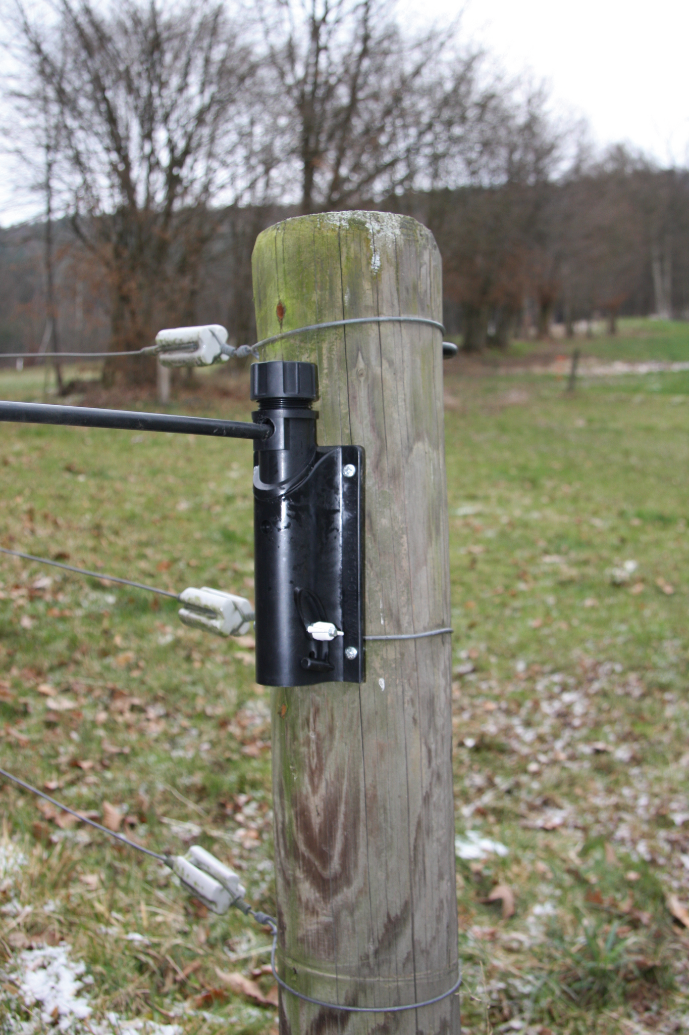 Patura Elektrisch doorrij poort 5,00m