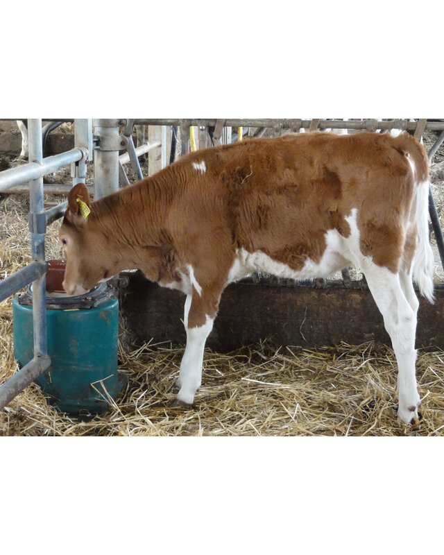 Patura Vlotterbak 43A, verwarmbaar