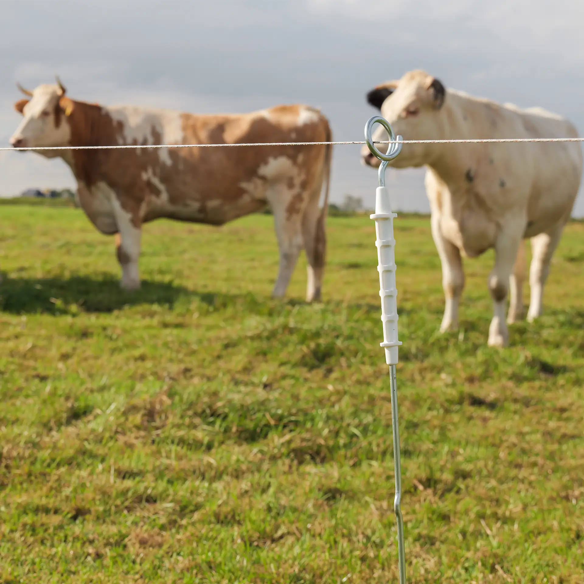 Gallagher Geëlektrificeerde ring top paal (10)