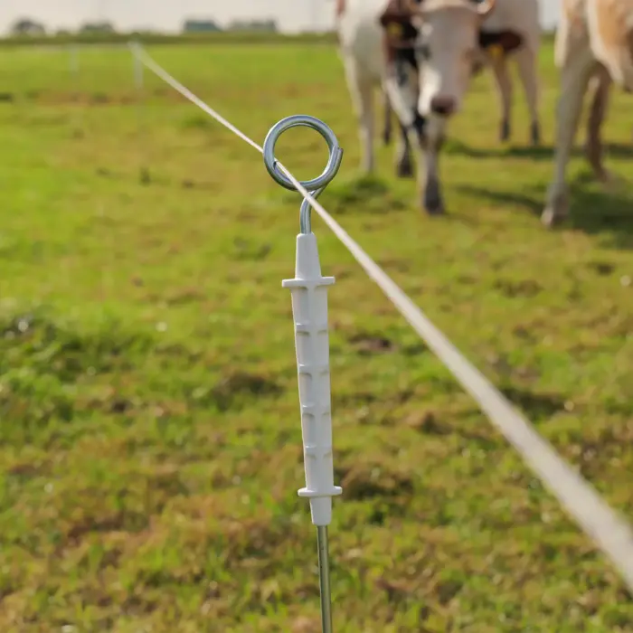 Geëlektrificeerde ring top paal (10)