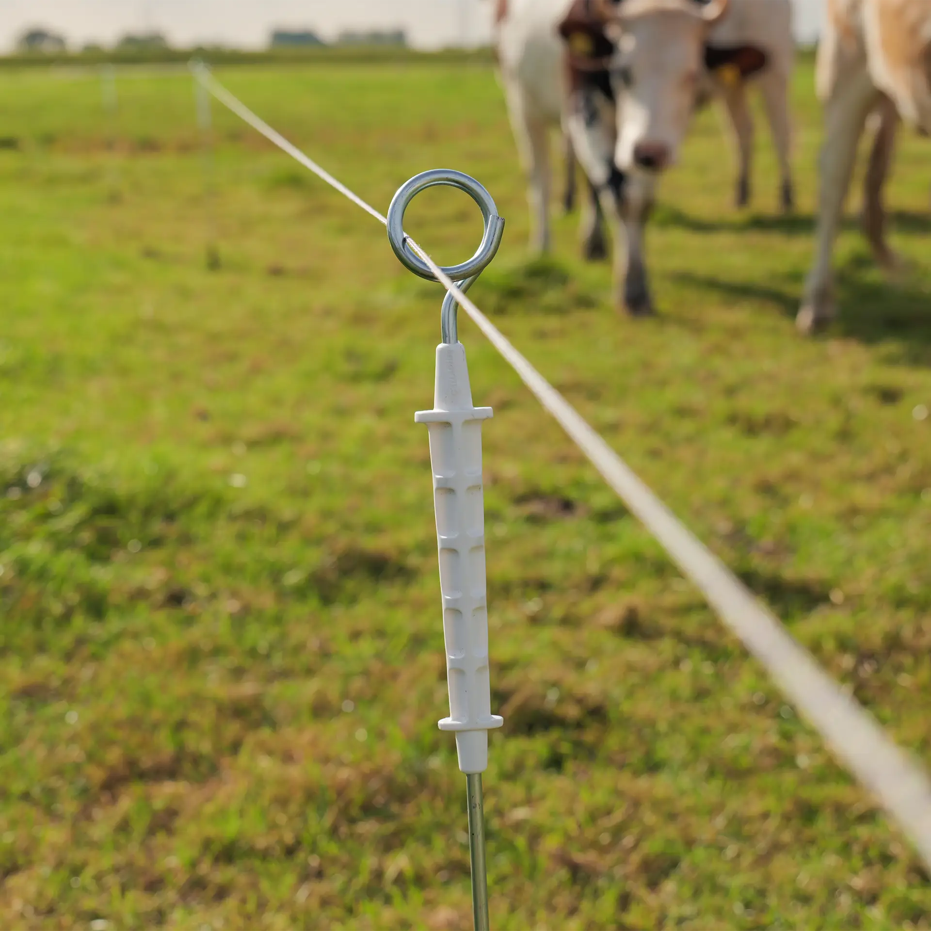Geëlektrificeerde ring top paal (10)