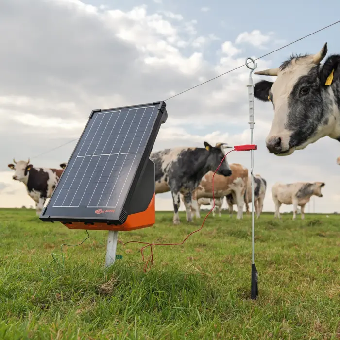 Gallagher Geëlektrificeerde ring top paal (10)