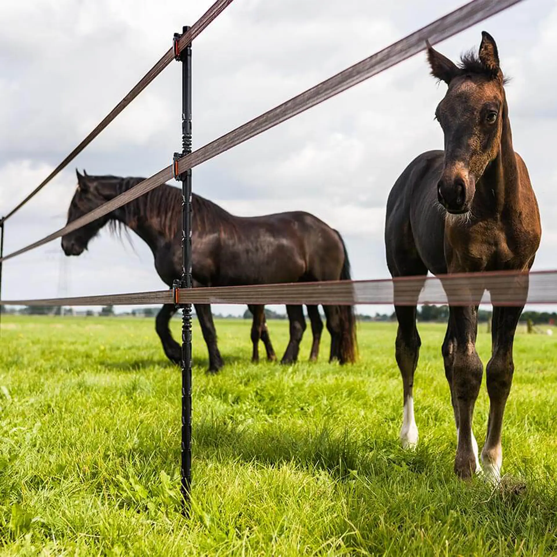 Gallagher Geïsoleerde Line Post 2,05m (10 stuks)