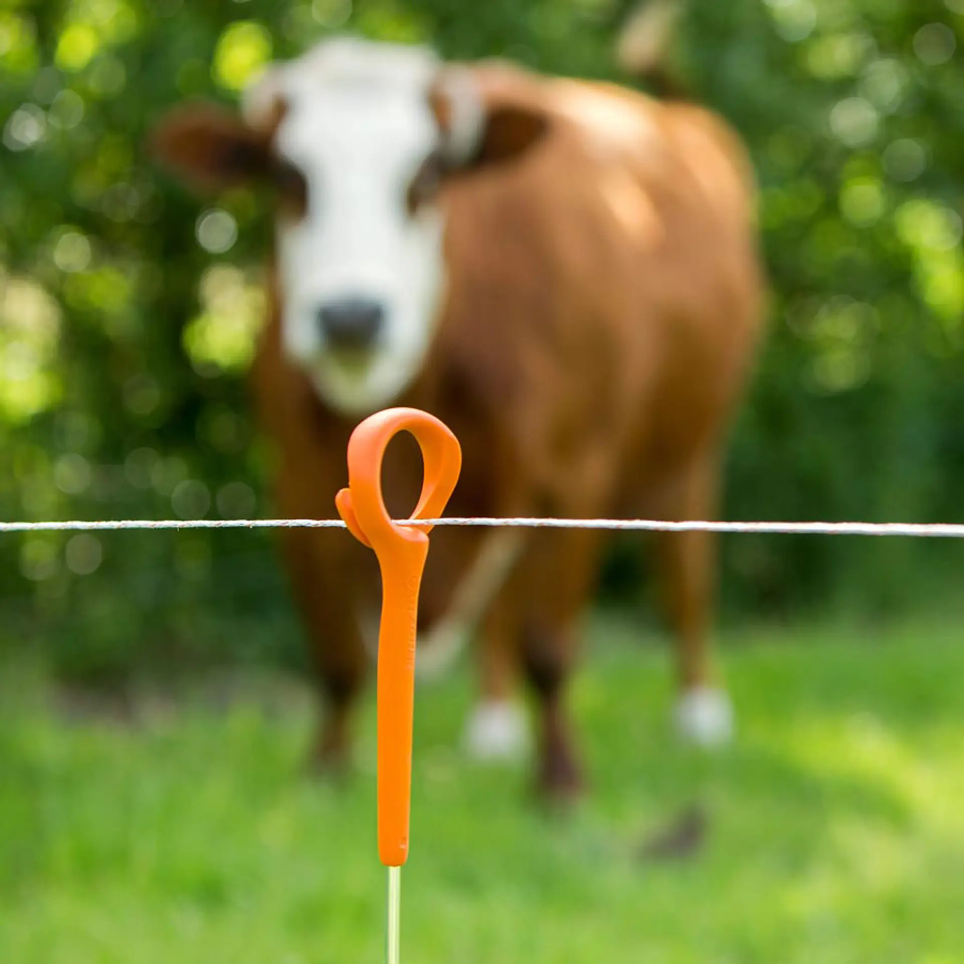 Gallagher Ring top Paal (1,00 meter, 10 stuks)