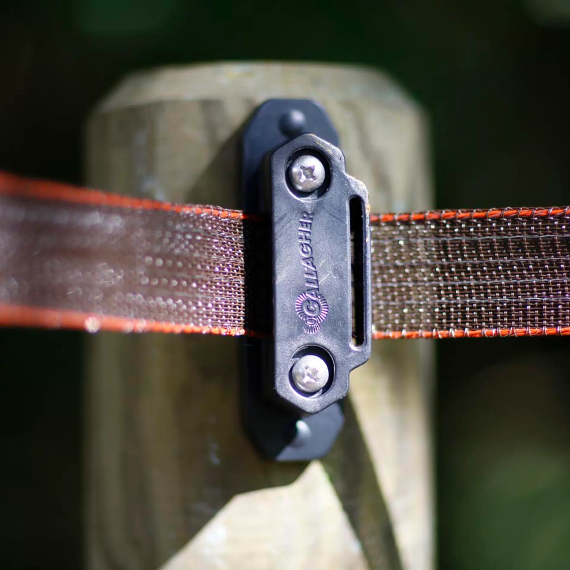 Gallagher TurboStar paarden-hoekisolator (30 stuks)