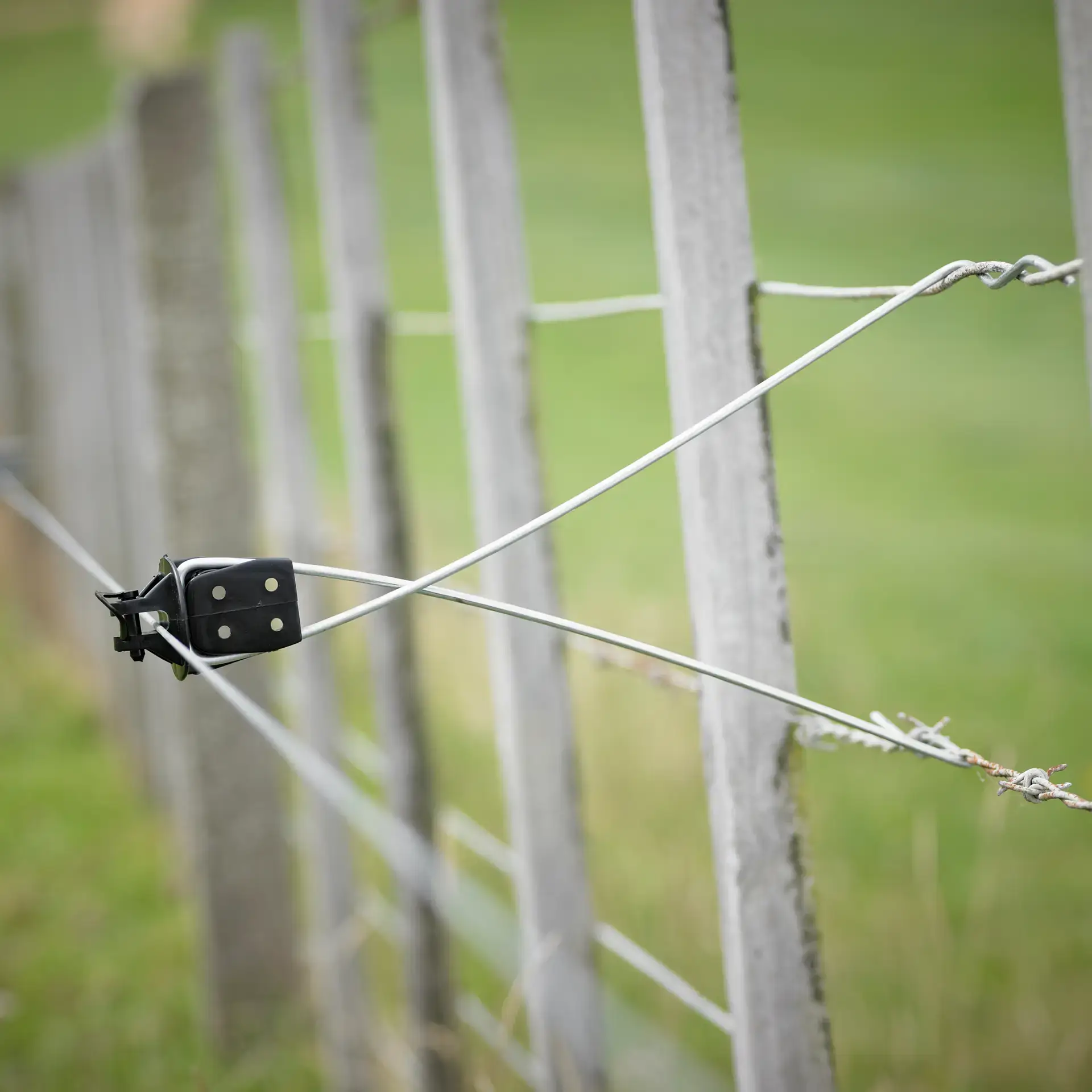 Gallagher Afstandisolator draad zwart (25 stuks)