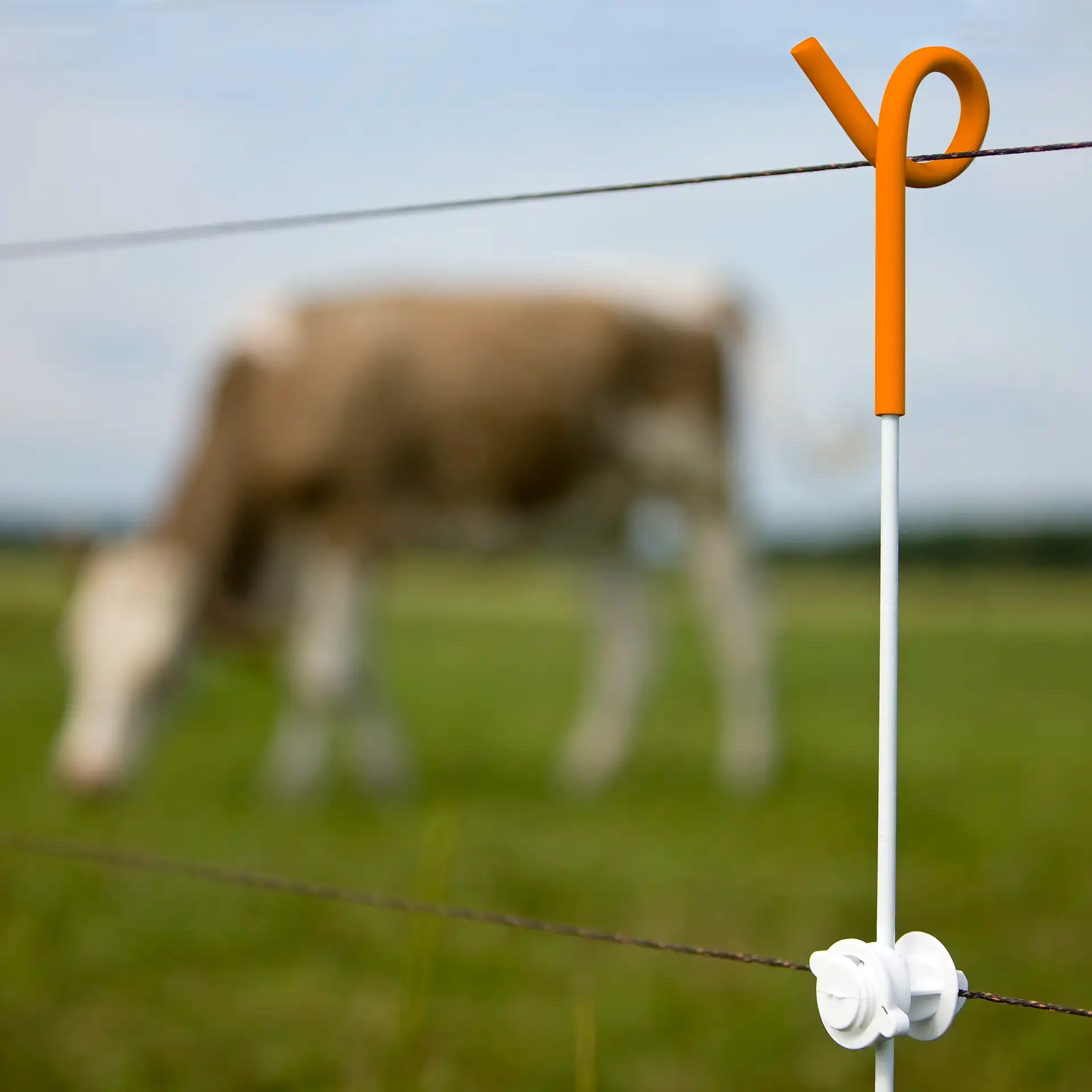 Veerstalen paal met krulisolator