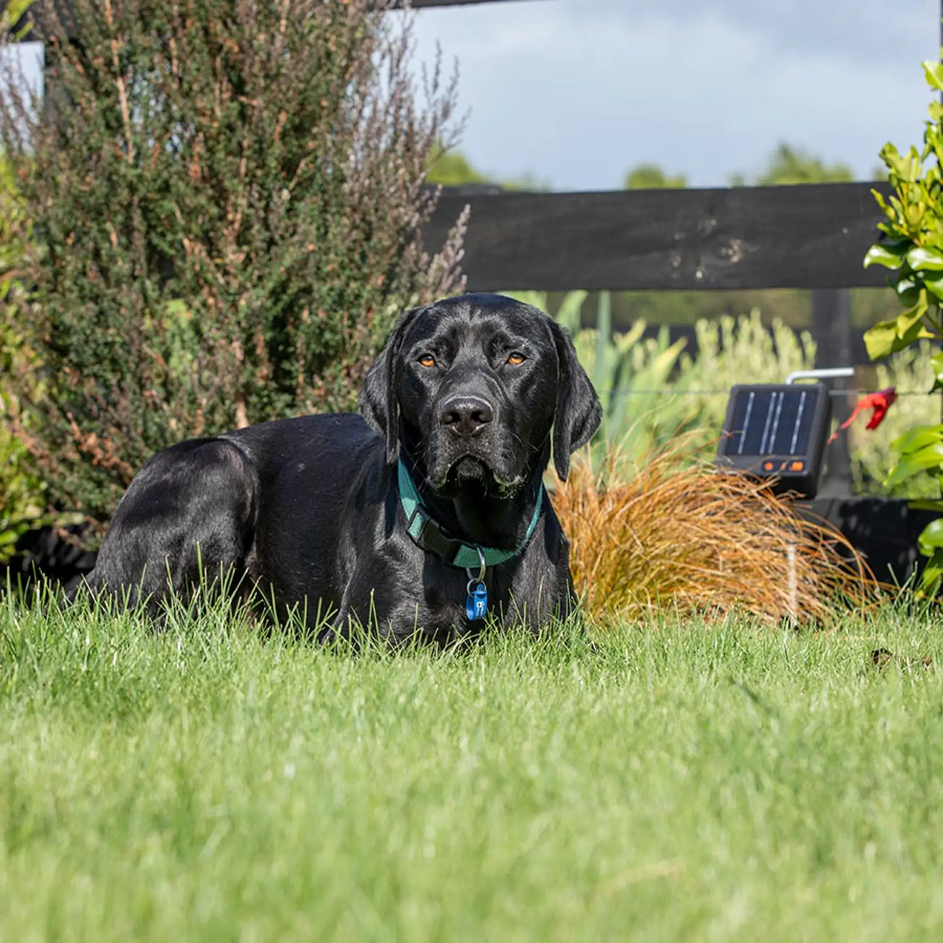 S6 Incl. Lithium batterij