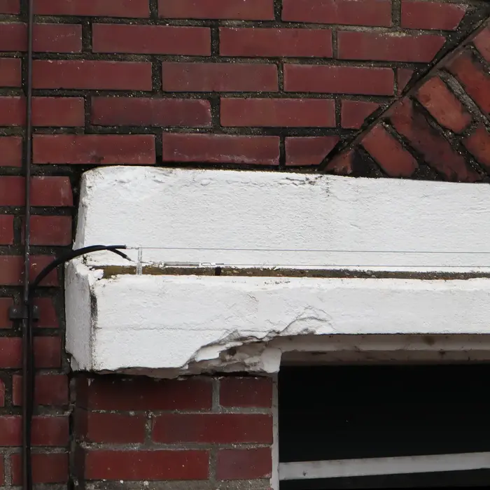 Vogelschrikdraad kit