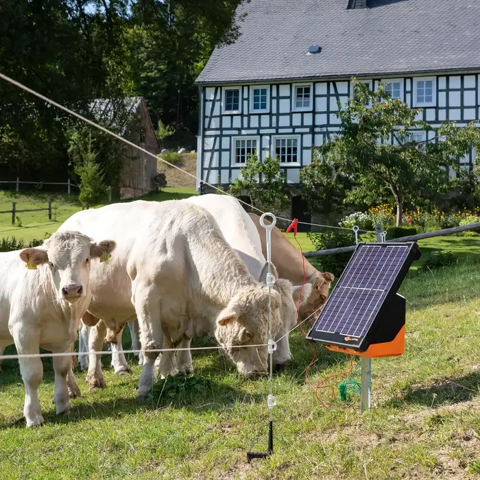 Multidraad paal isolator