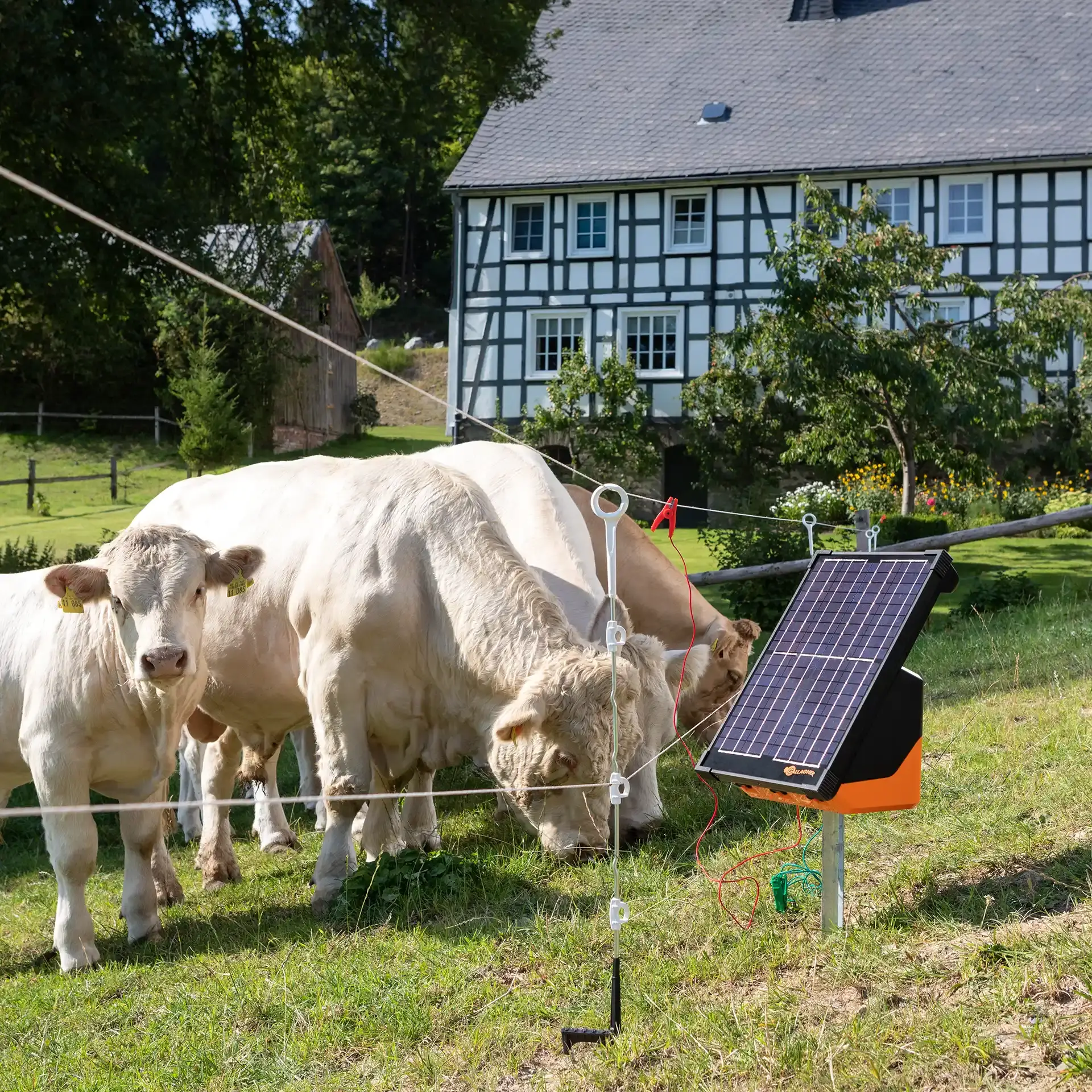 Multidraad paal isolator