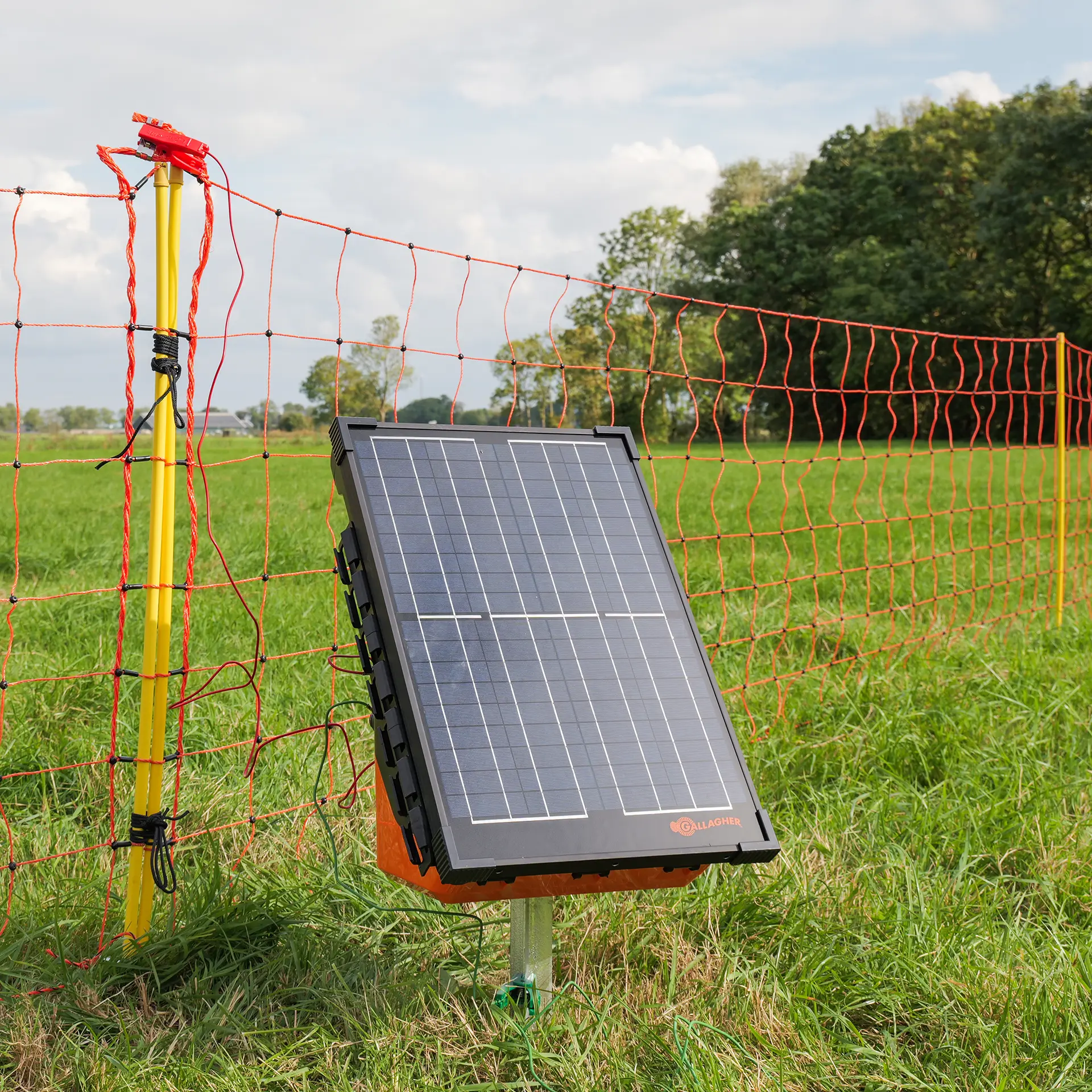 Gallagher Schapennet, Oranje 90/1-14/G-50m