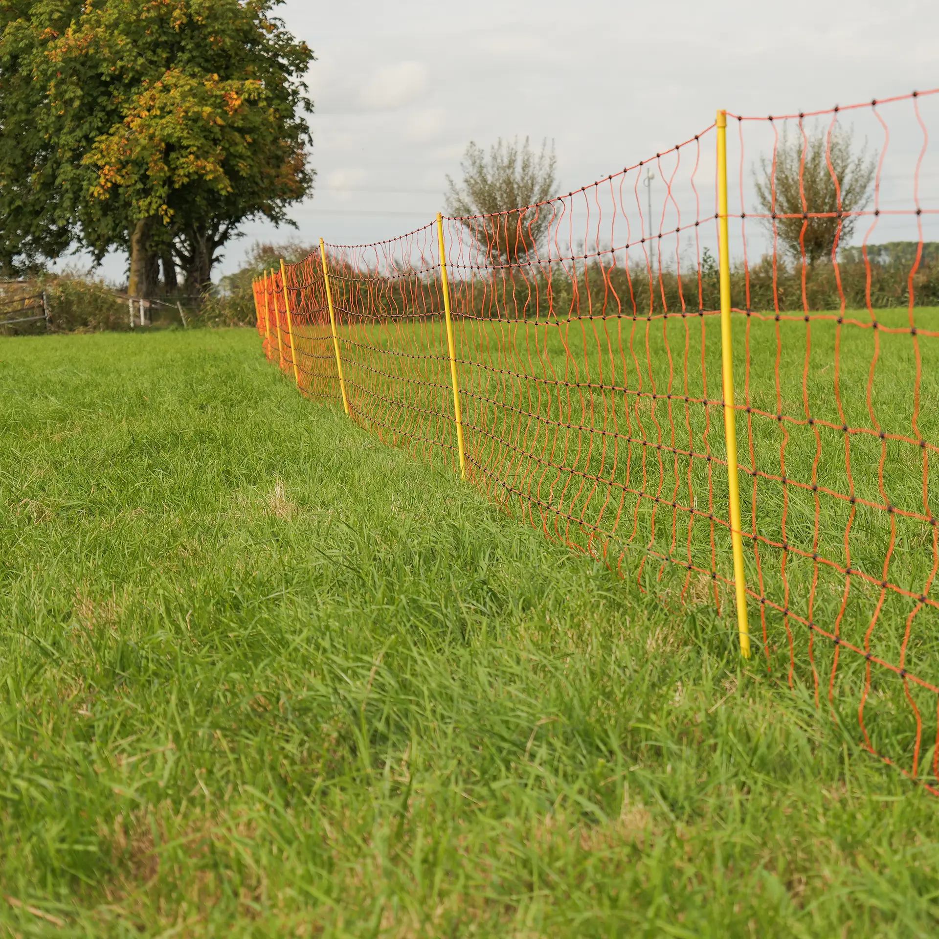 Gallagher Schapennet, Oranje 90/2-14/G-50m