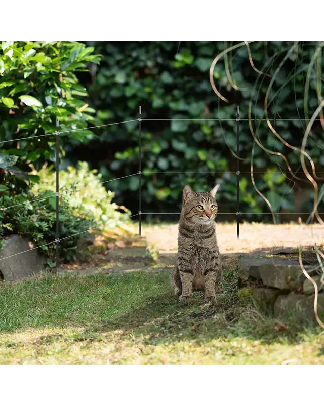 Tuin en Vijver kit - Lichtnet