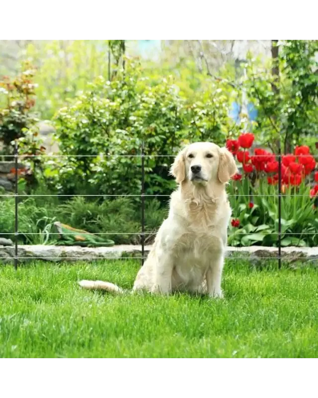 Tuin en Vijver kit - Lichtnet
