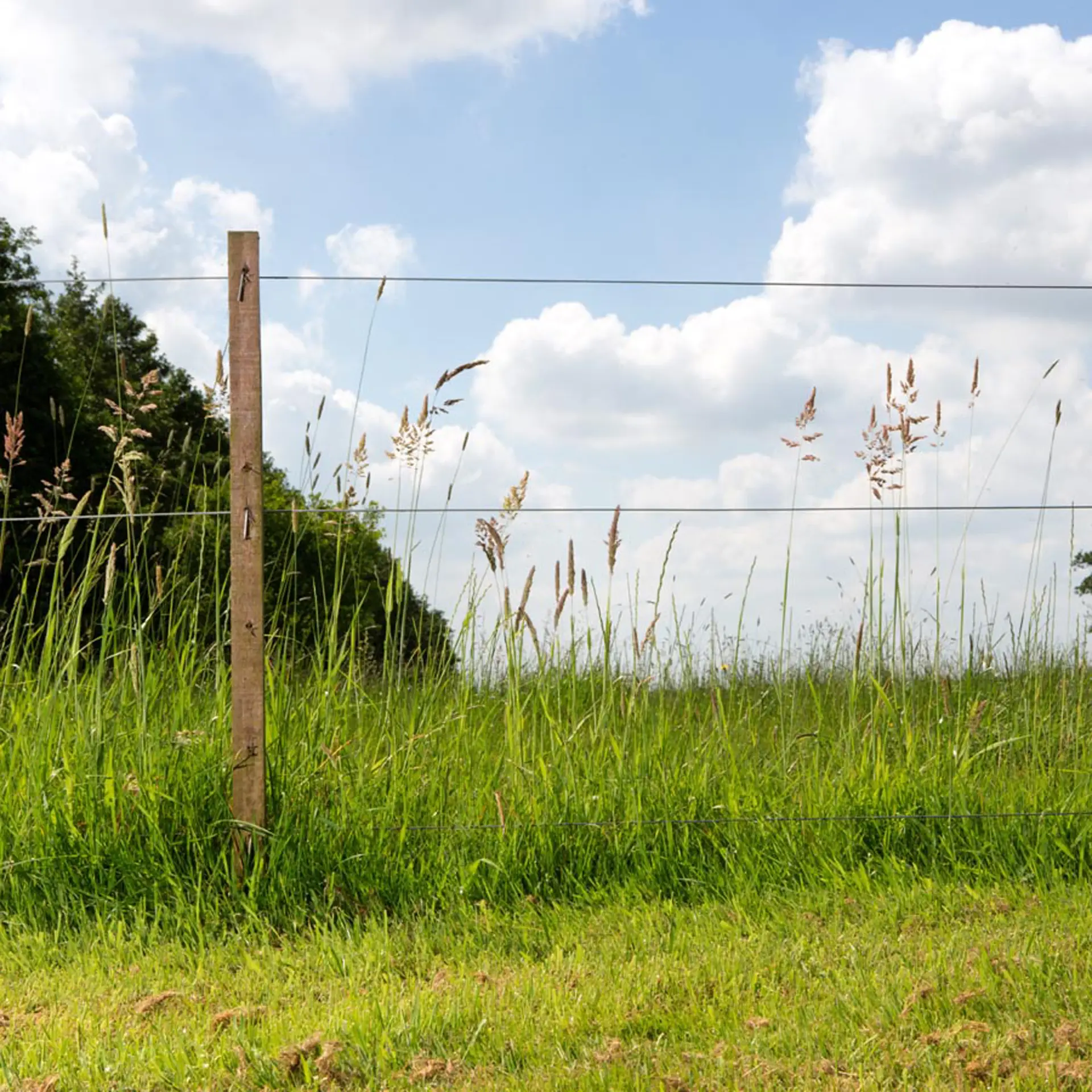 Gallagher Gealuminiseerd draad (High Tensile) ø 1,8 mm (ca. 1250 meter)