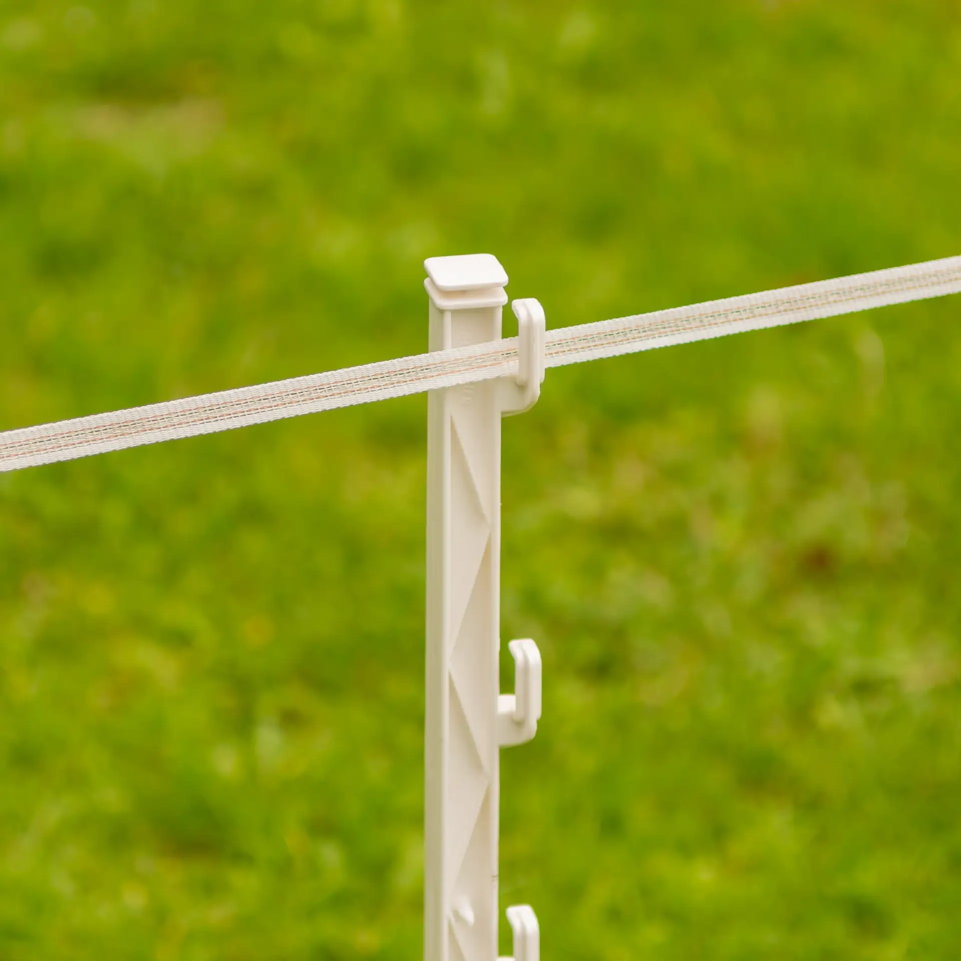 Gallagher TurboLine lint 12,5 mm (wit, 200 meter)