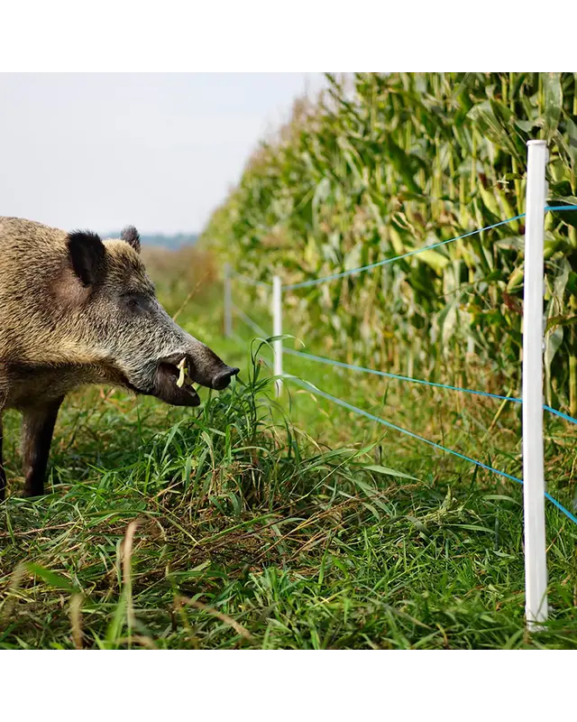 TurboLine kunststofdraad