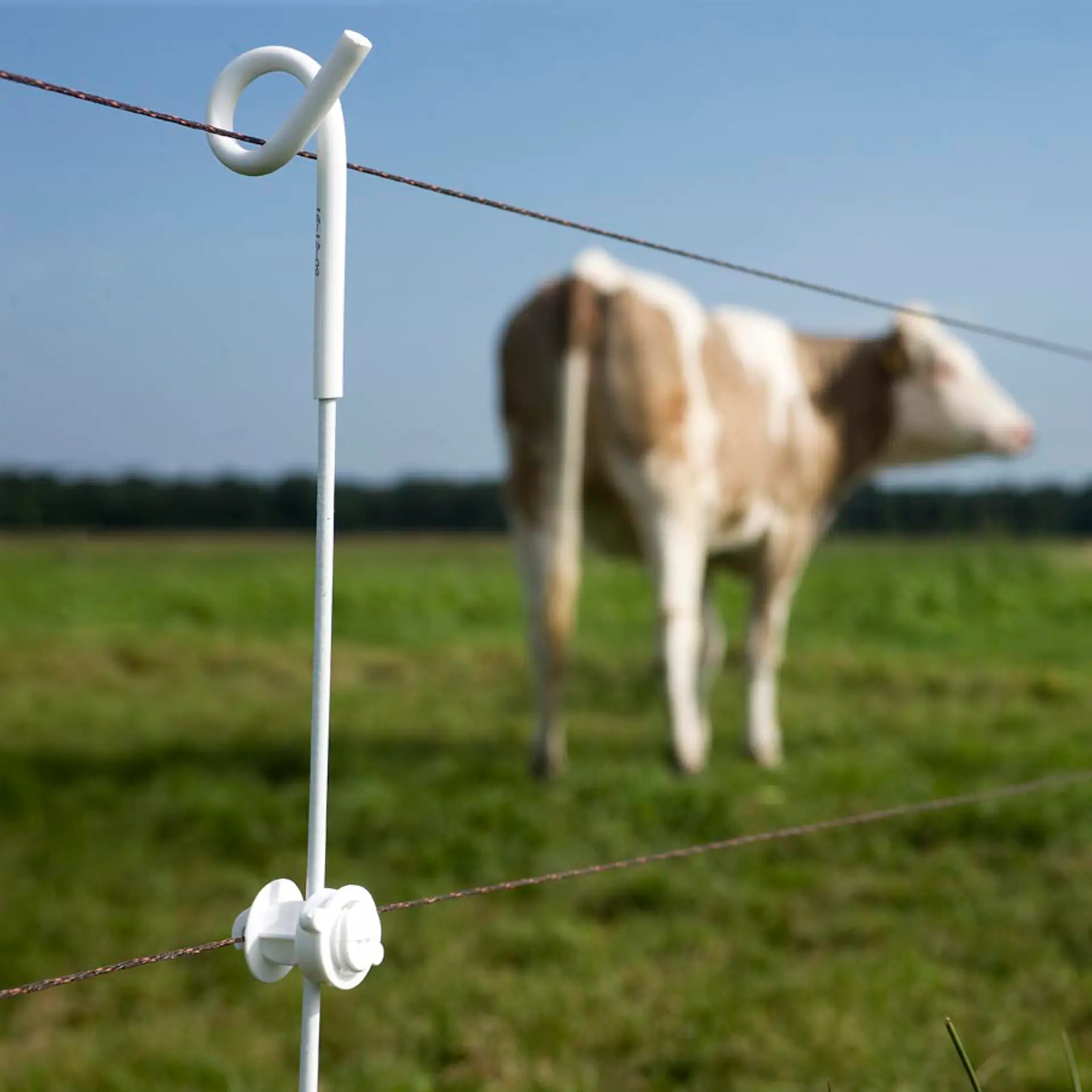 Vidoflex 9 TurboLine