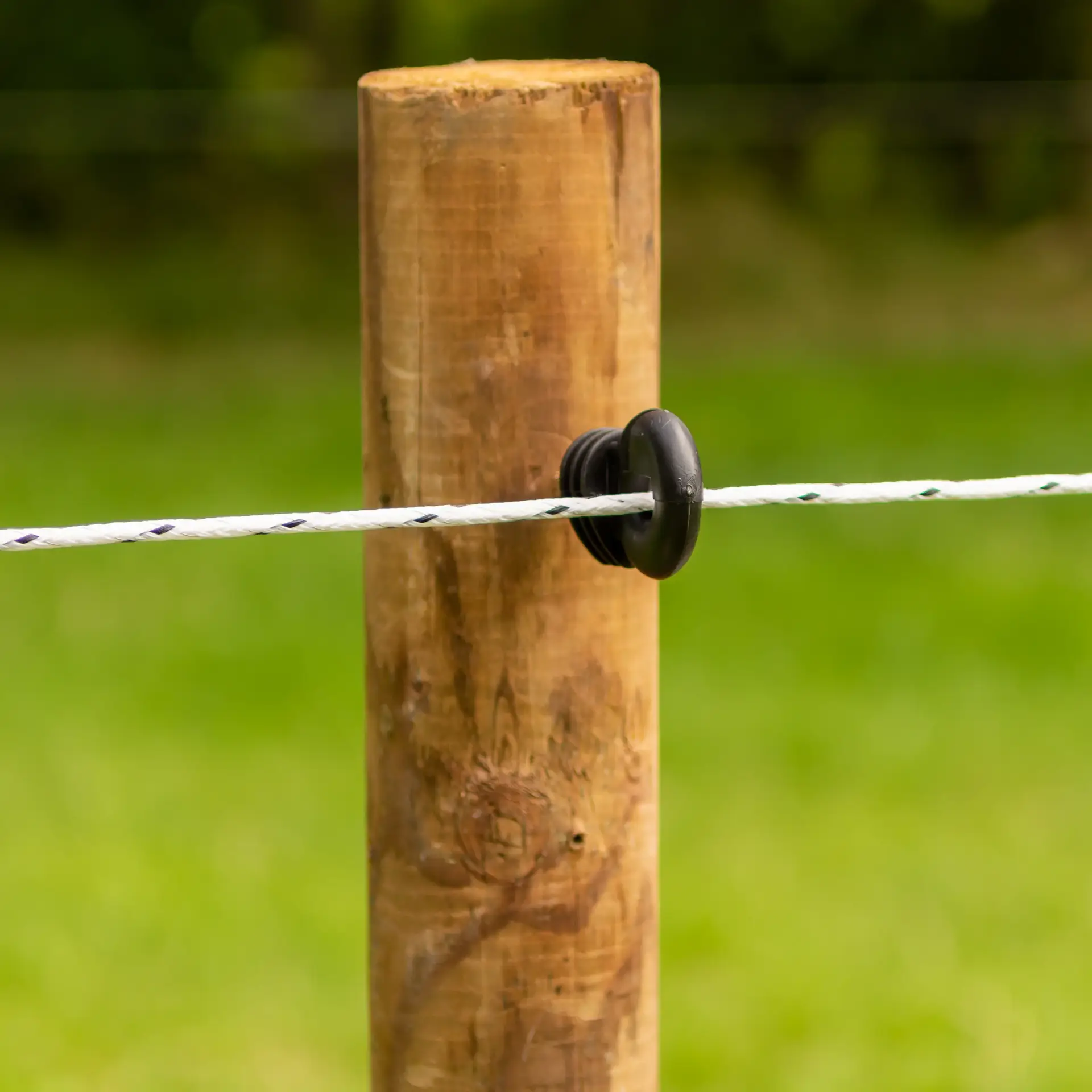 Gallagher PowerLine cord (wit, 500 meter)