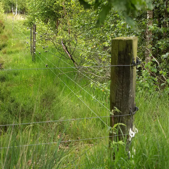 Gallagher W-isolator Super (wit, 25 stuks)