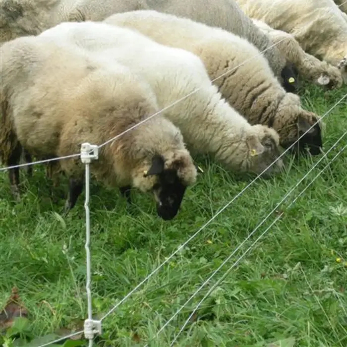 Multidraad Quattro paal