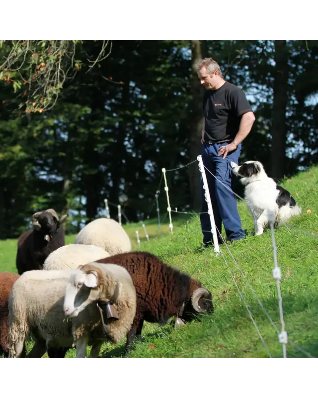 Multidraad Quattro paal