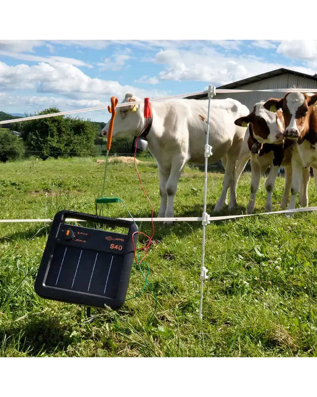 Multidraad Quattro paal