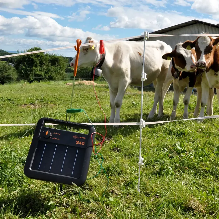 Multidraad Quattro paal