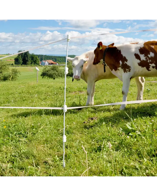 Multidraad Quattro paal