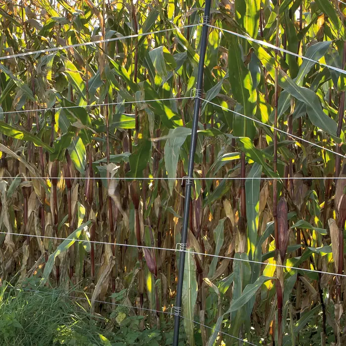 Verstelbaar veertje RVS