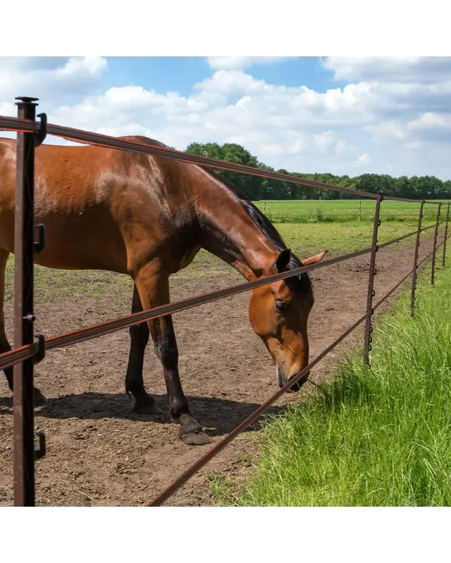 Duopack Stijgbeugelpaal