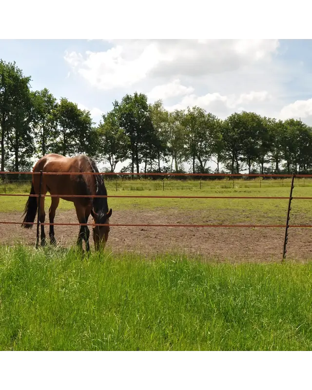 Duopack Stijgbeugelpaal