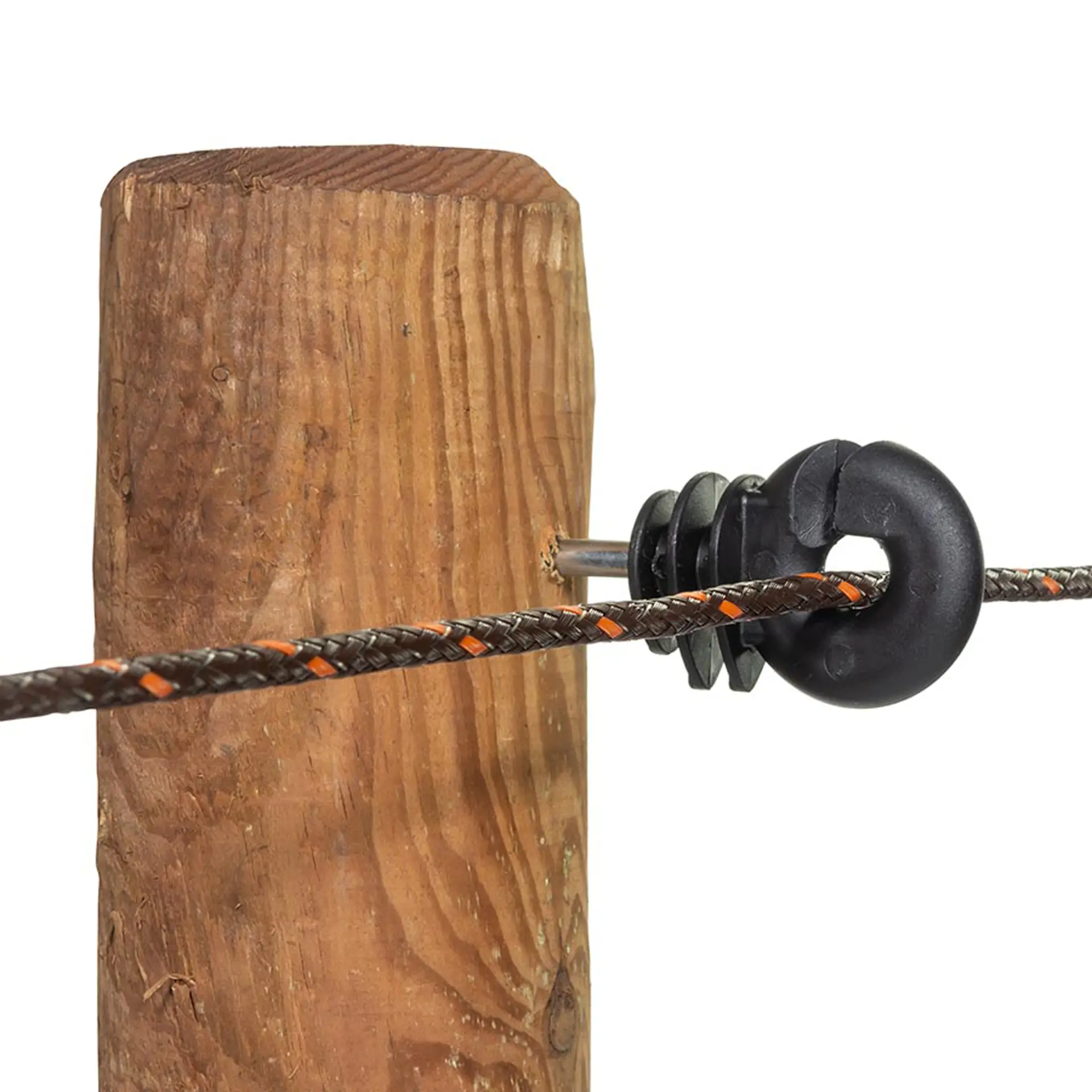 Gallagher Ringisolator Economy (75 stuks)