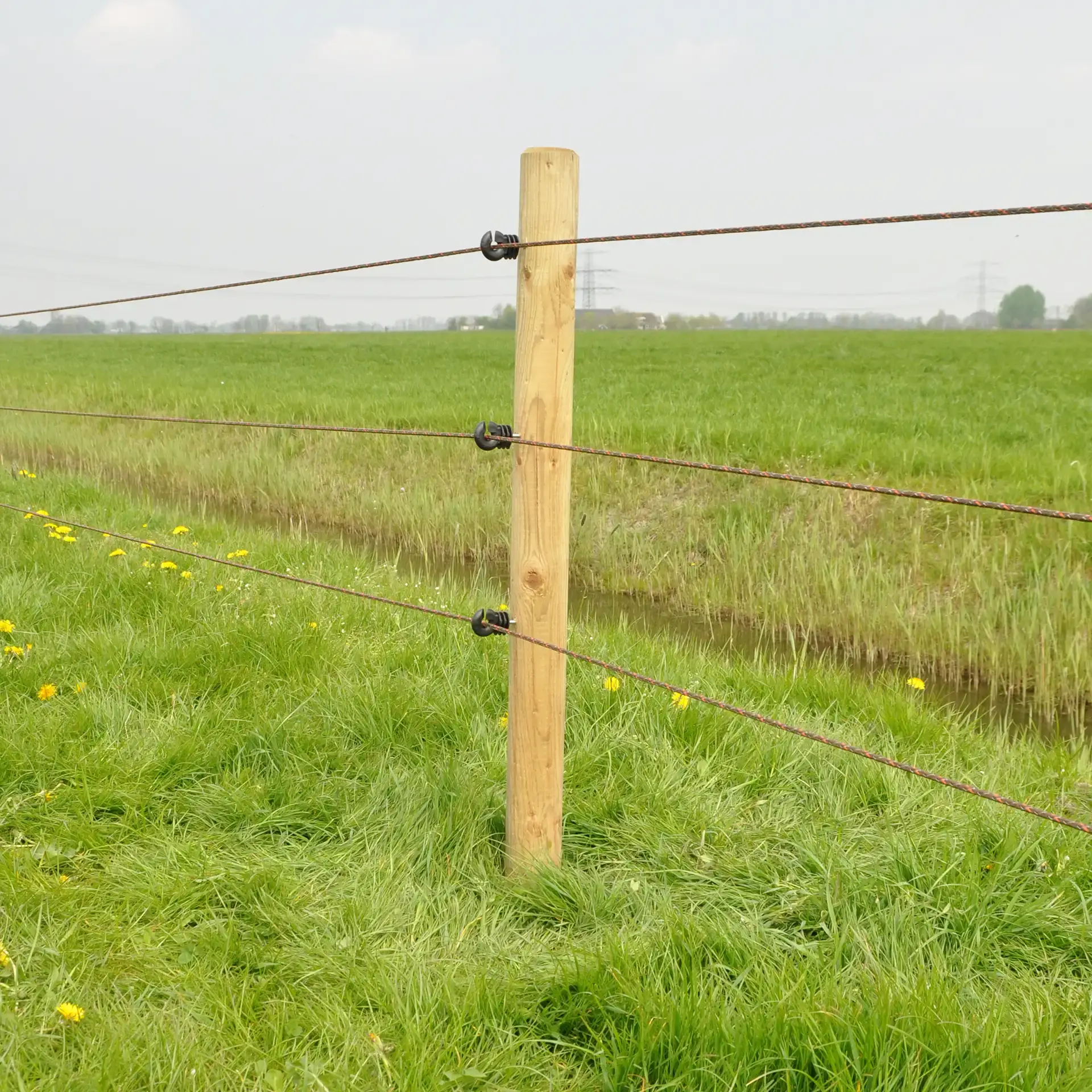 Gallagher Ringisolator Economy (75 stuks)