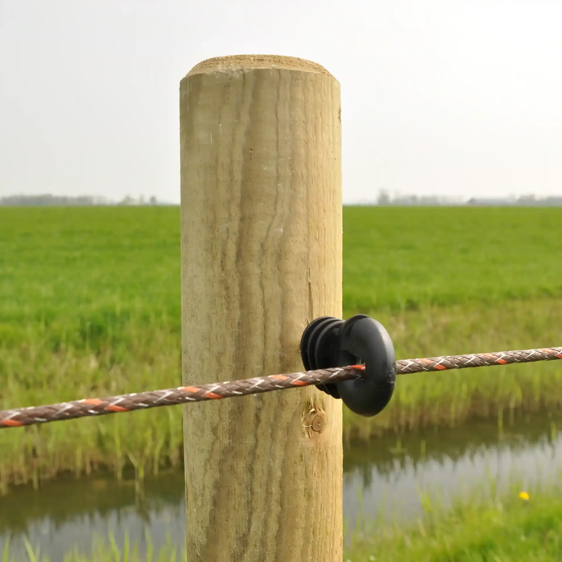 Gallagher Ringisolator Economy (75 stuks)