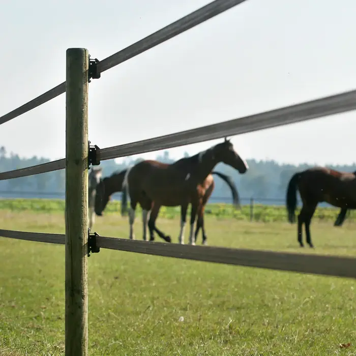Gallagher PowerLine lint 40 mm (terra, 200 meter)