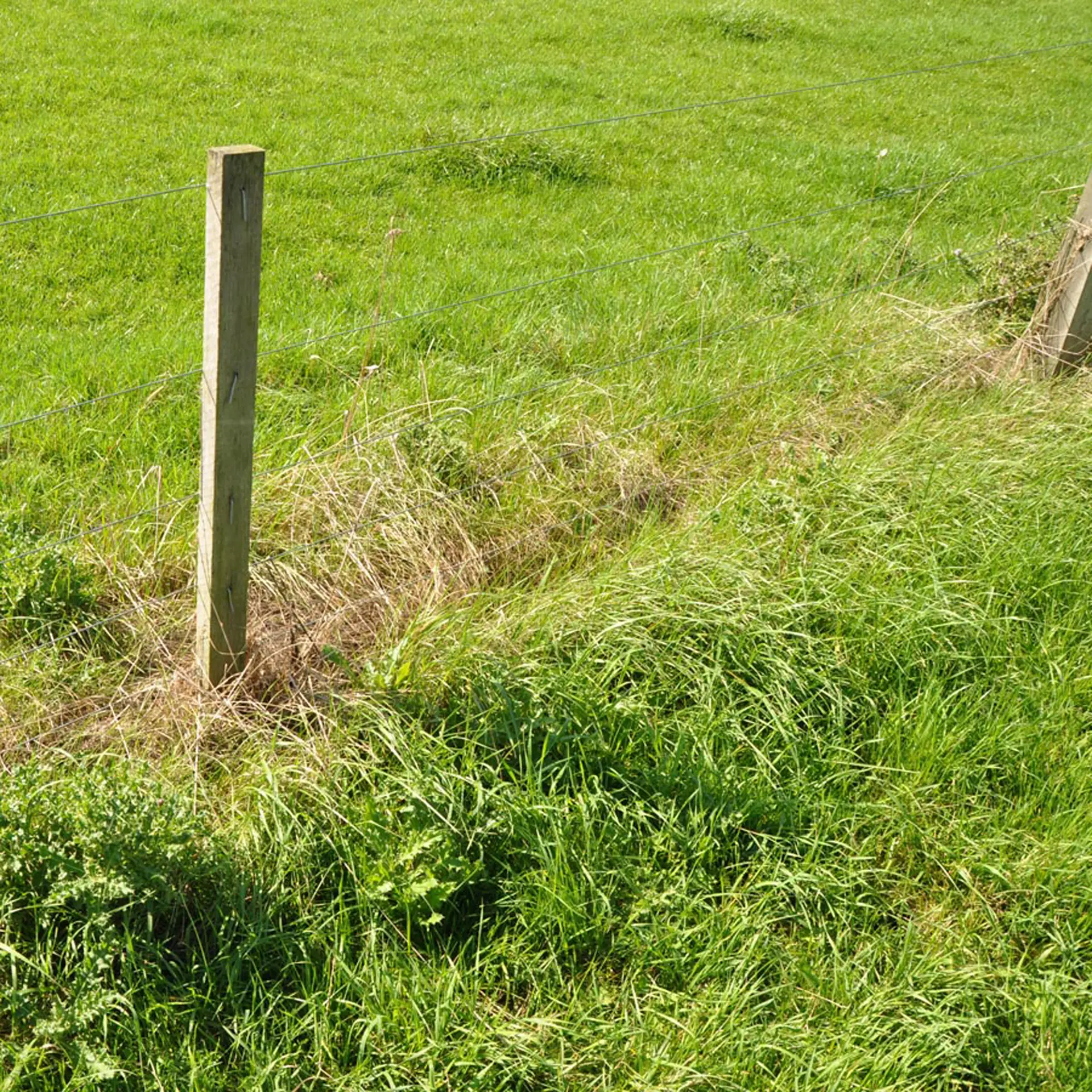 Gallagher Gealuminiseerd draad (Medium Tensile) ø1,8 mm (ca. 500 meter)