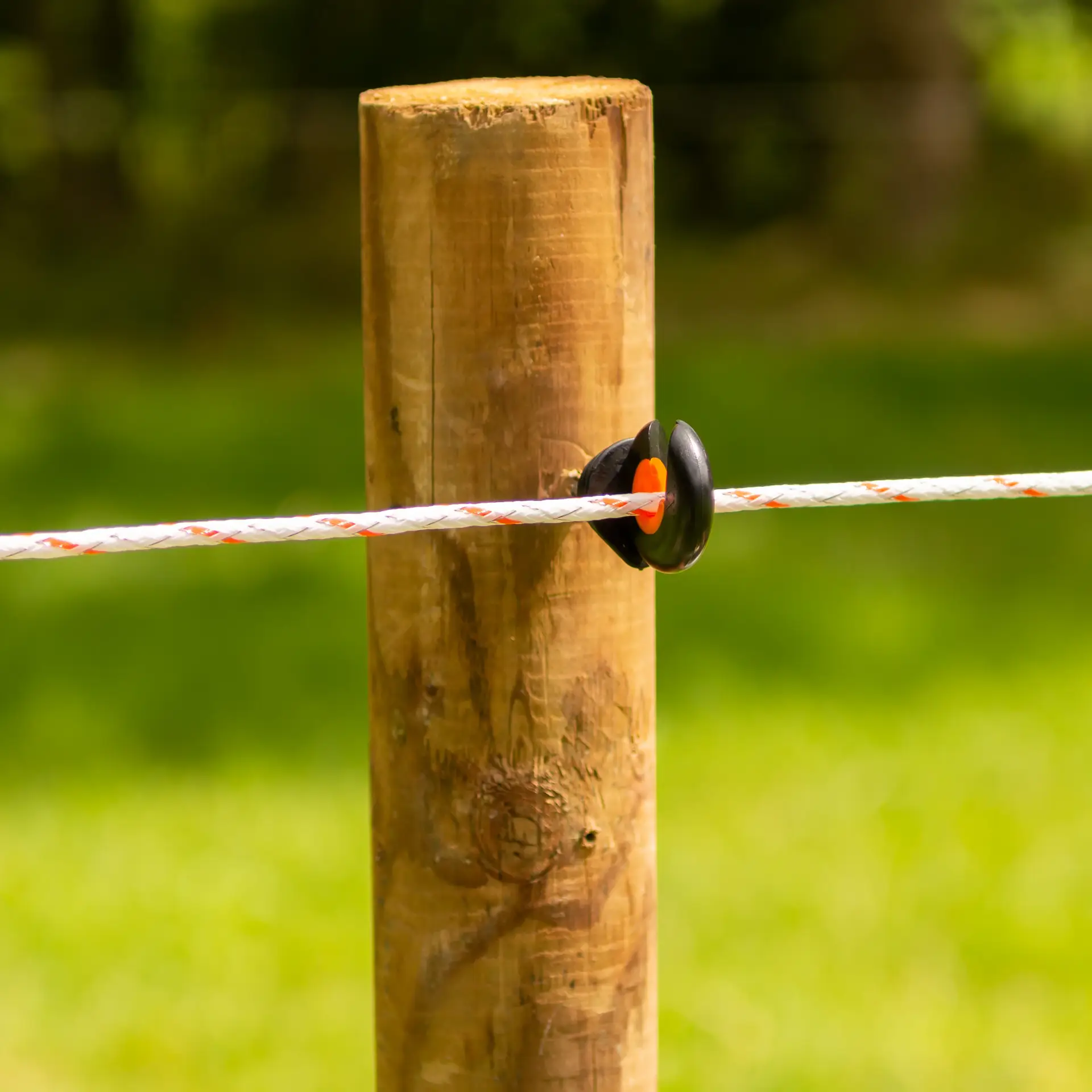 Gallagher TurboLine cord (wit, 500 meter)