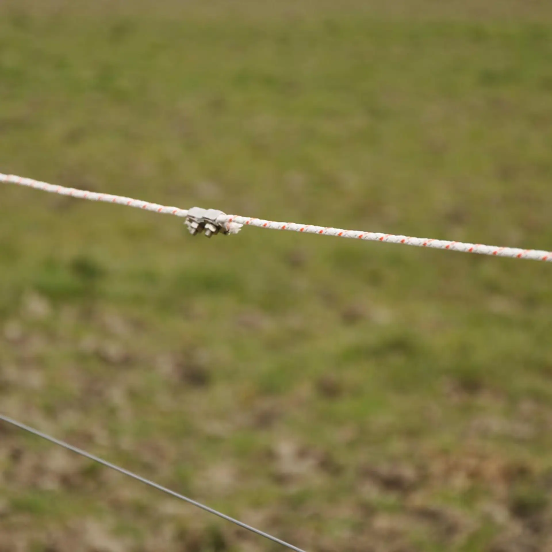 Gallagher TurboLine cord (wit, 500 meter)