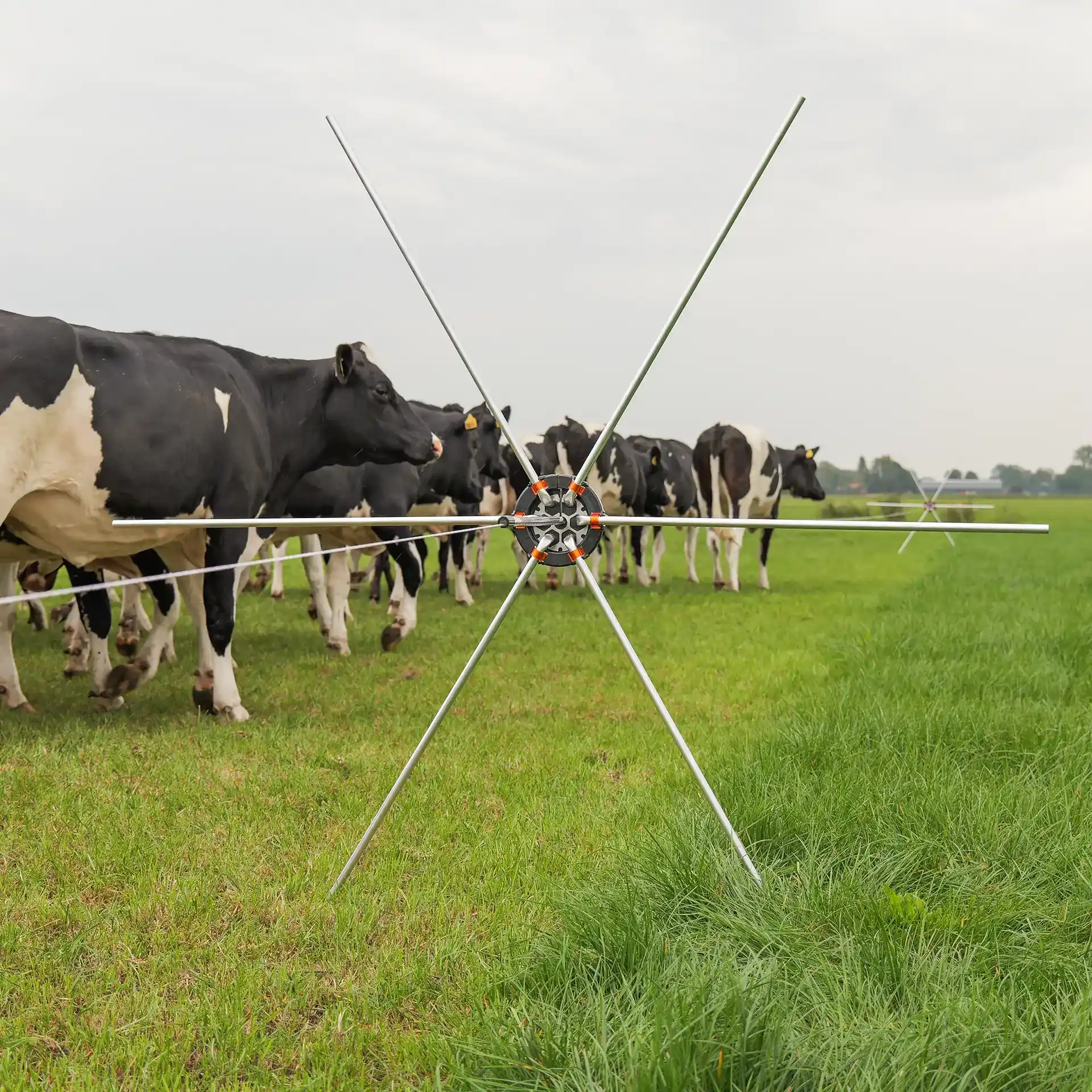 Gallagher Rasterspin (5 stuks)