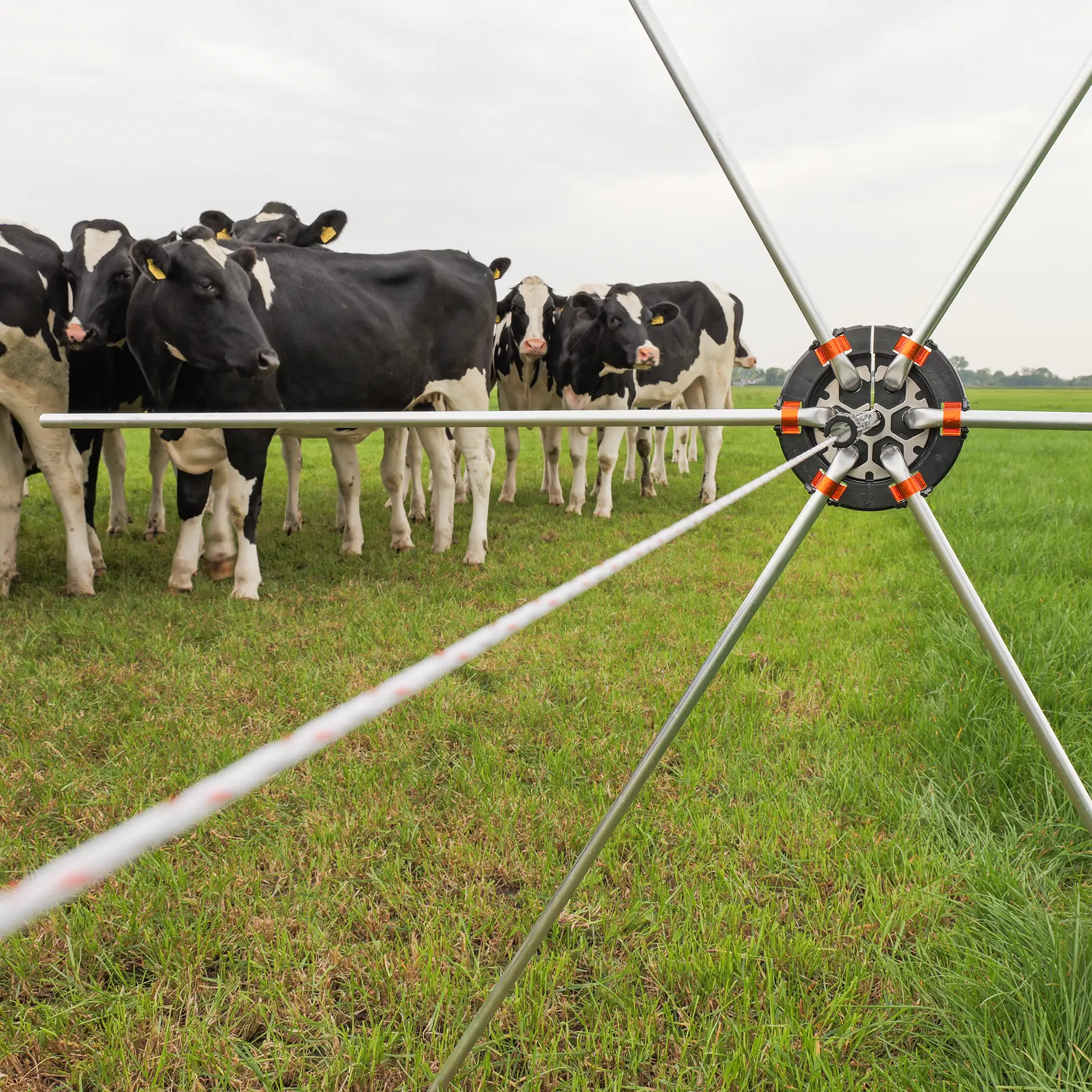 Gallagher Rasterspin (5 stuks)