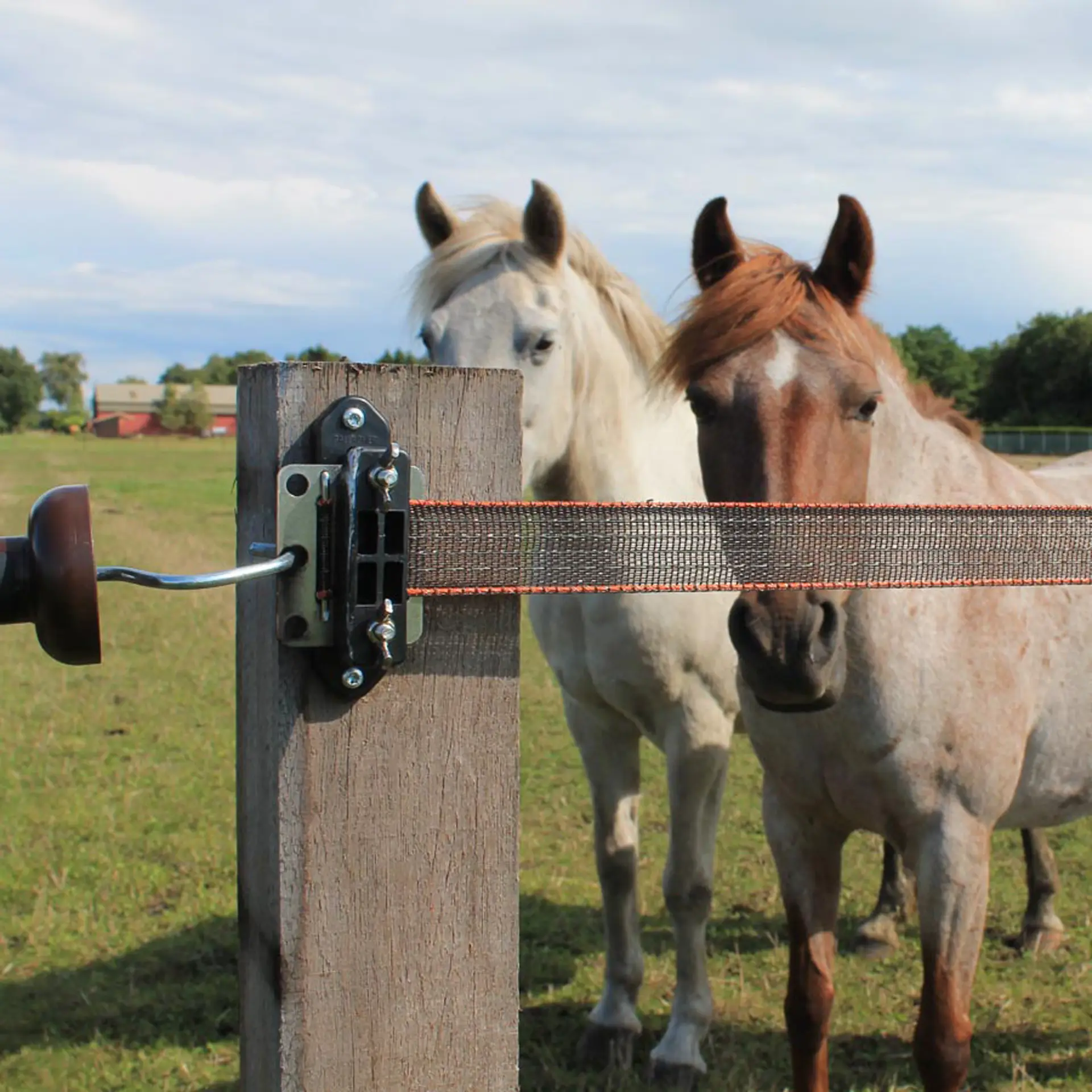 Gallagher TurboLine hoekisolator (30 stuks)