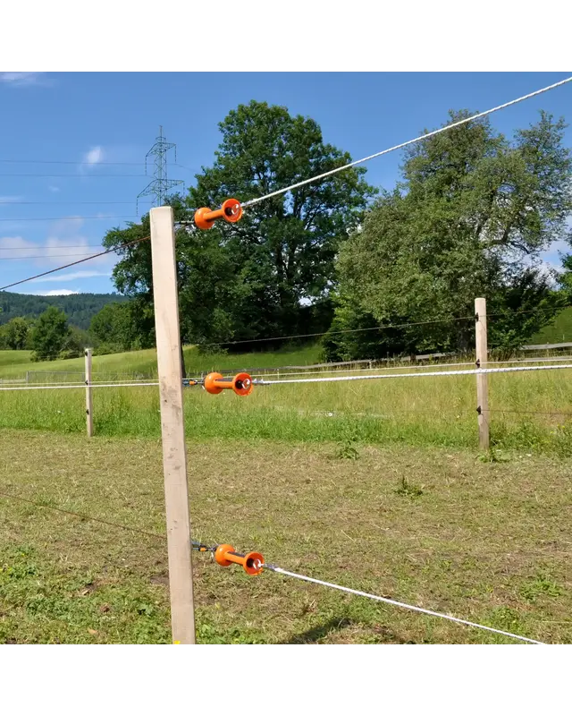 Poortgreepanker Premium Screw-in